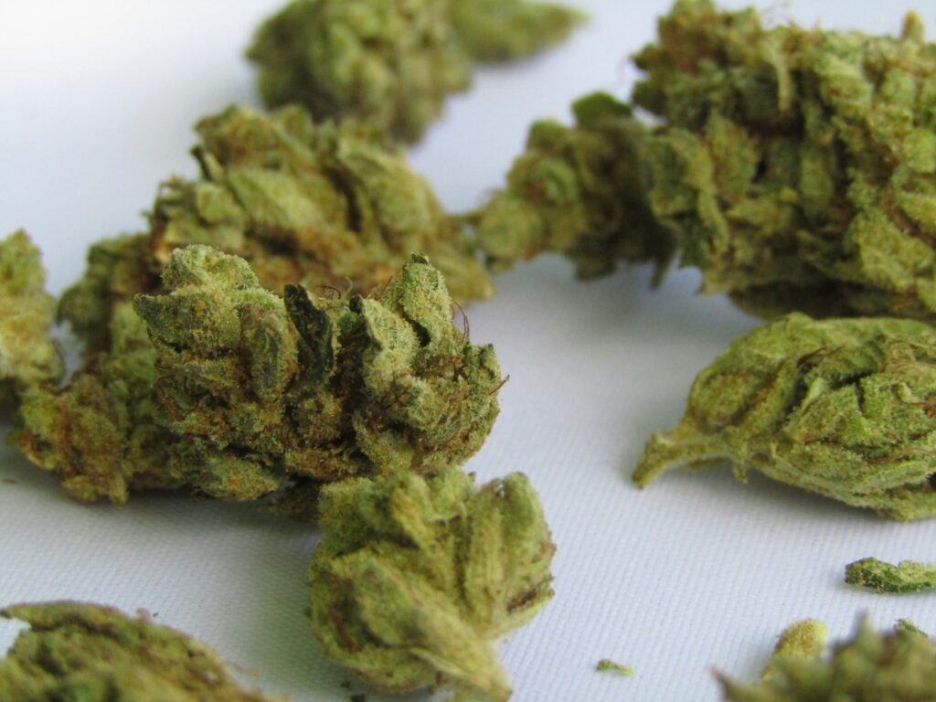 Marijuana